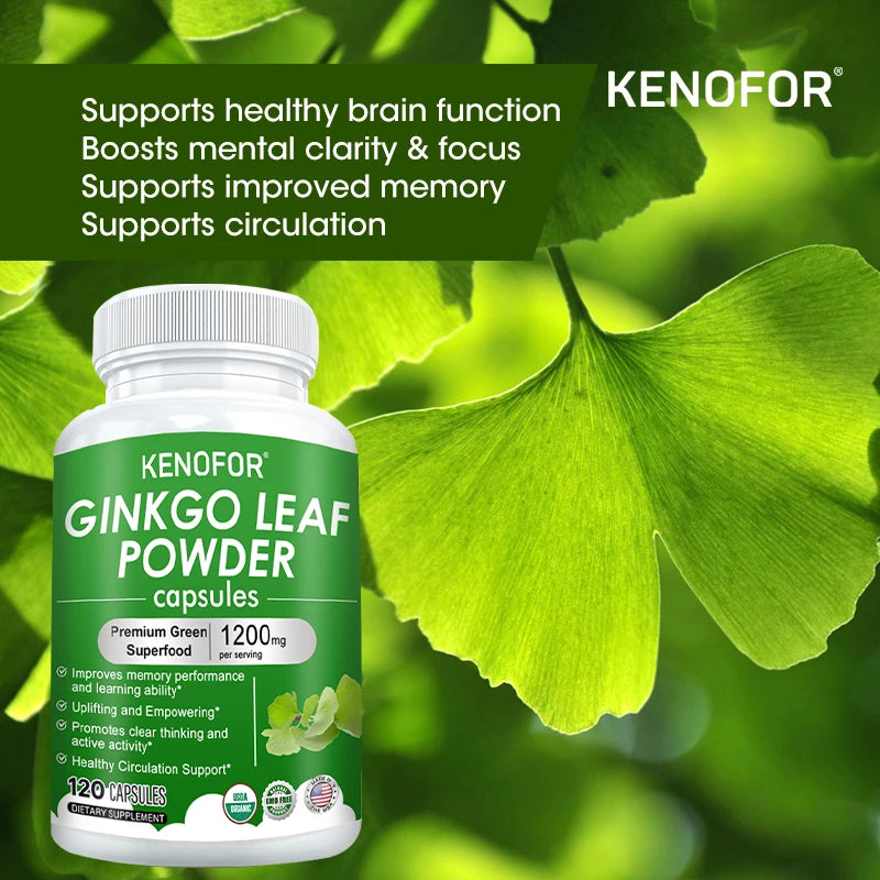 Ginkgo Extract Supplement - Brain Nutrition Supplement Supports Memory, Learning and Cognitive Function Vegetarian Capsules