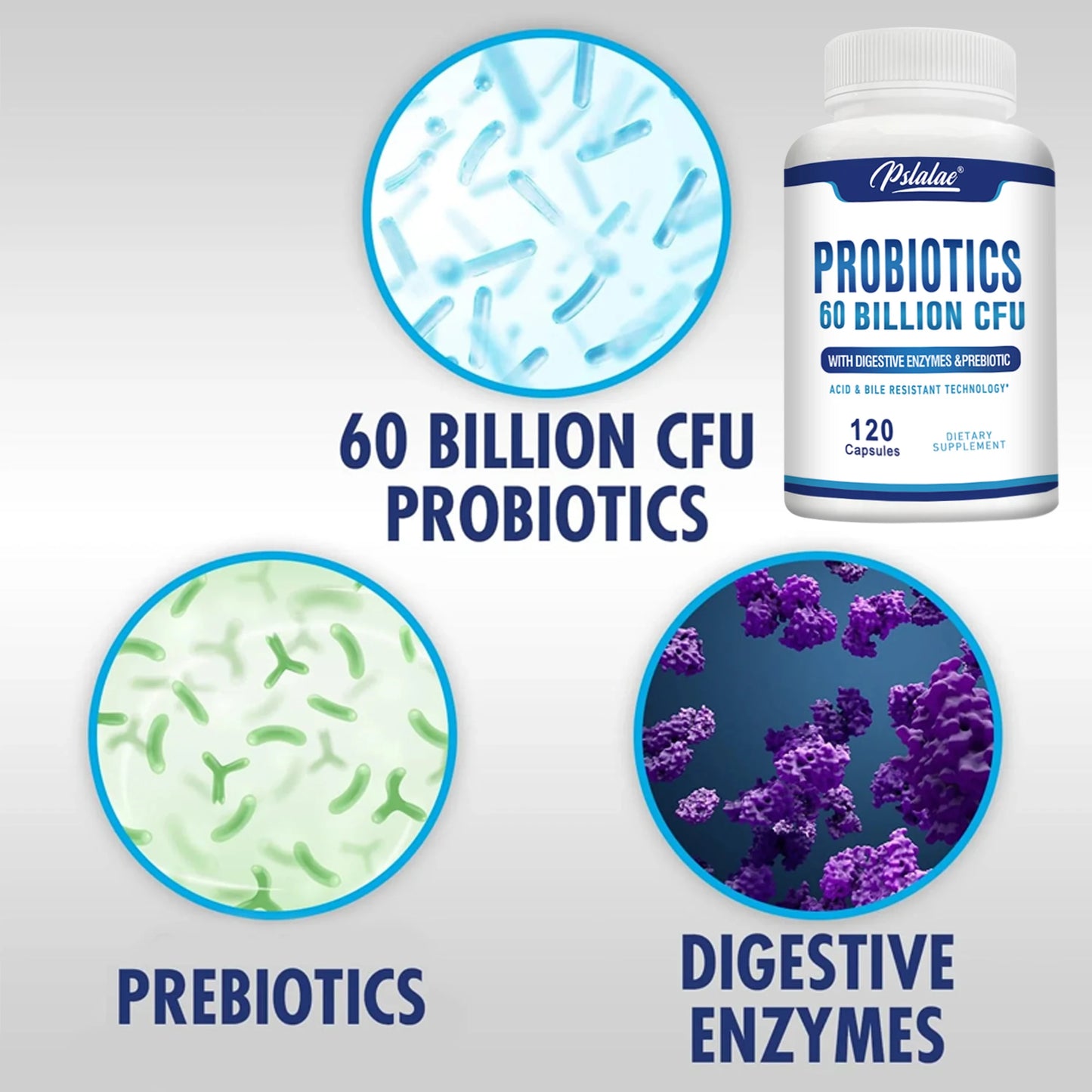Probiotics - Help with Intestinal Health, Nutrient Digestion, Weight Management, Bloating Relief, Calorie Control - 120 Capsules