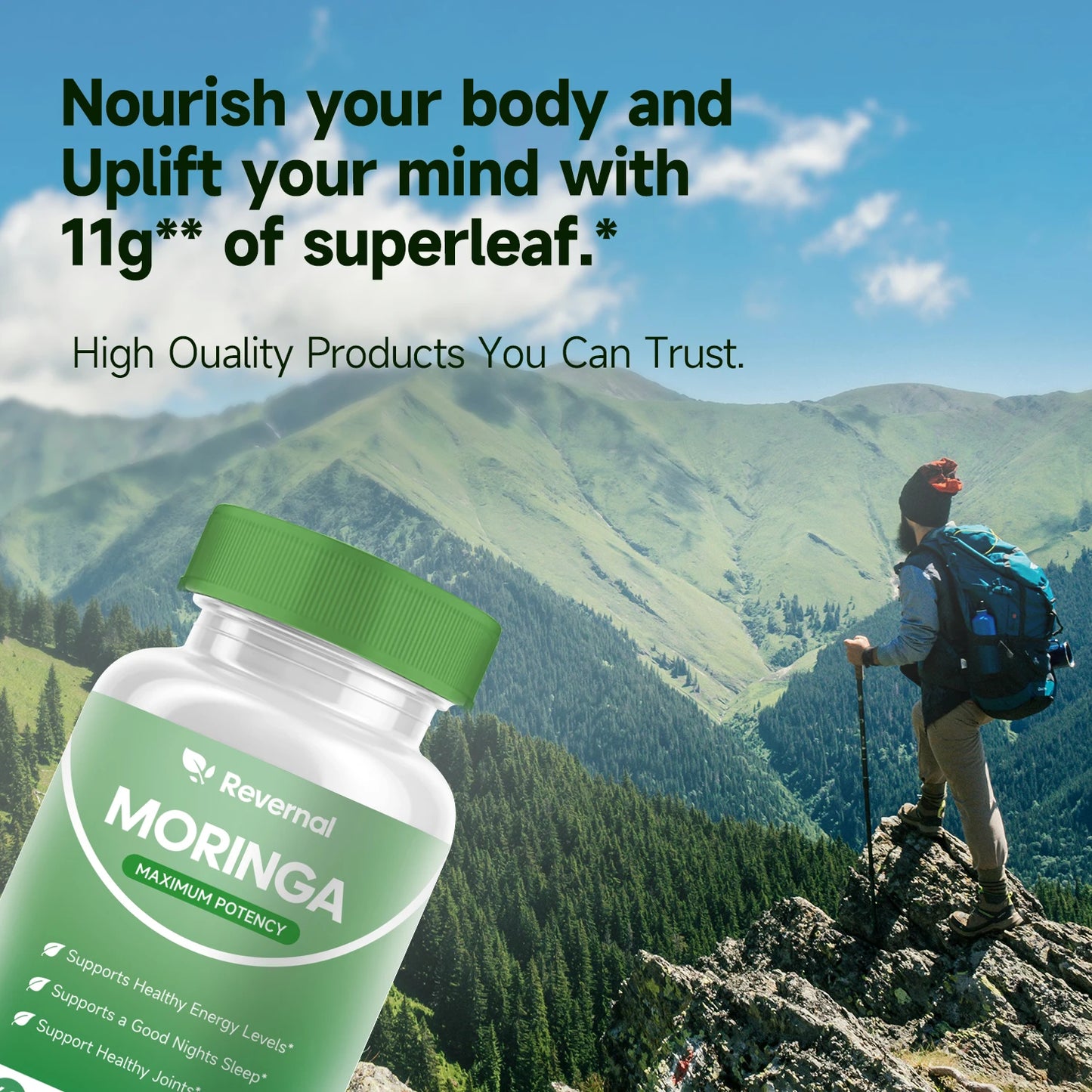 Quitmood Moringa Powder Capsules - 800mg of Pure Nutrient-Rich Moringa Powder - A Natural Green Antioxidant Superfood