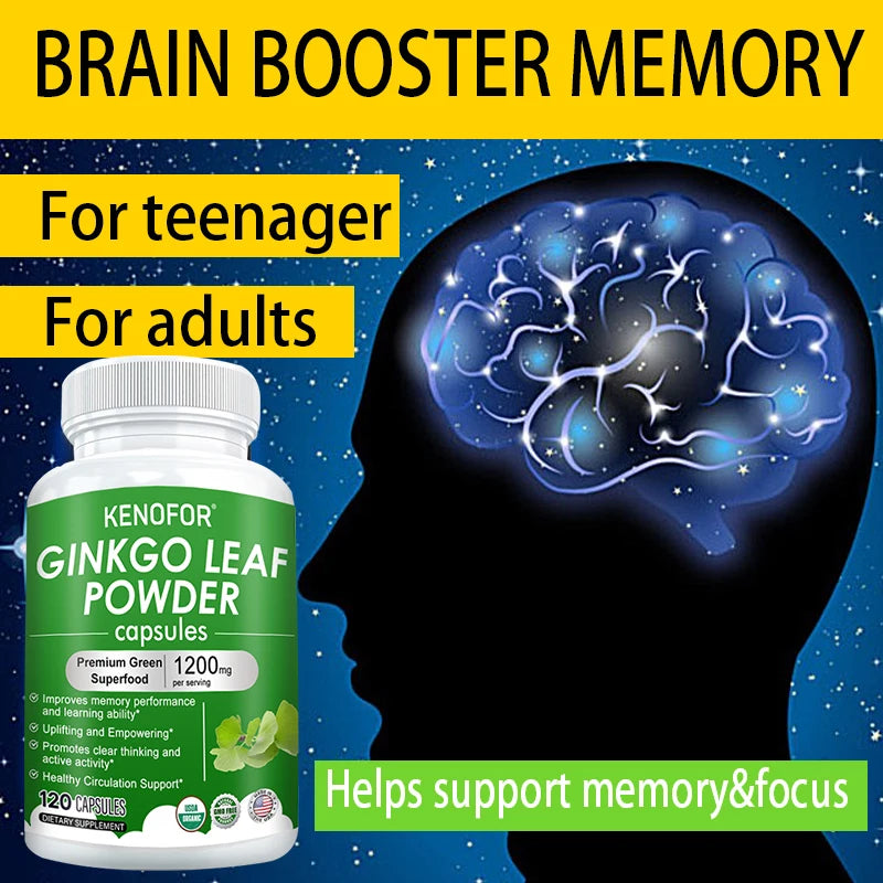 Ginkgo Extract Supplement - Brain Nutrition Supplement Supports Memory, Learning and Cognitive Function Vegetarian Capsules
