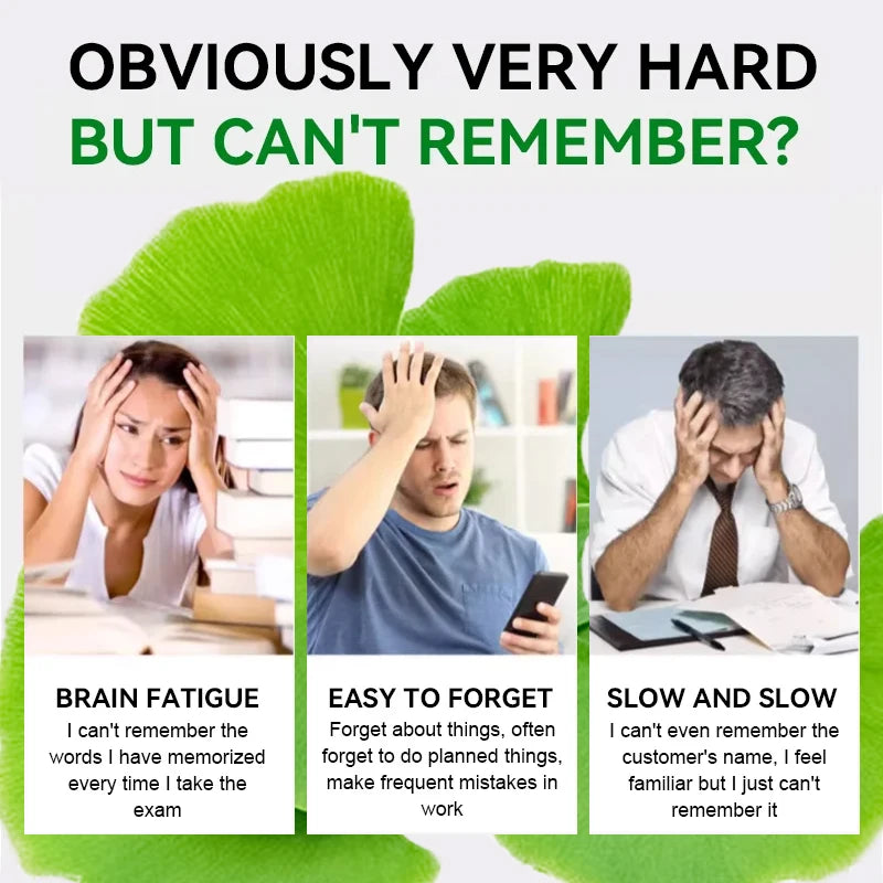 Ginkgo Extract Supplement 120 Capsules Supports Brain Function Memory Concentration Cardiovascular Health Antioxidant