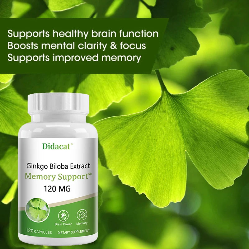 Ginkgo Extract Supplement 120 Capsules Supports Brain Function Memory Concentration Cardiovascular Health Antioxidant
