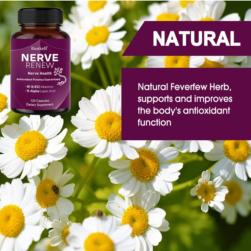 Advanced Neurological Support - 300 Mg Stabilized R-Lipoic Acid, Vitamin B Complex, Nervous System Health, Focus, Antioxidants