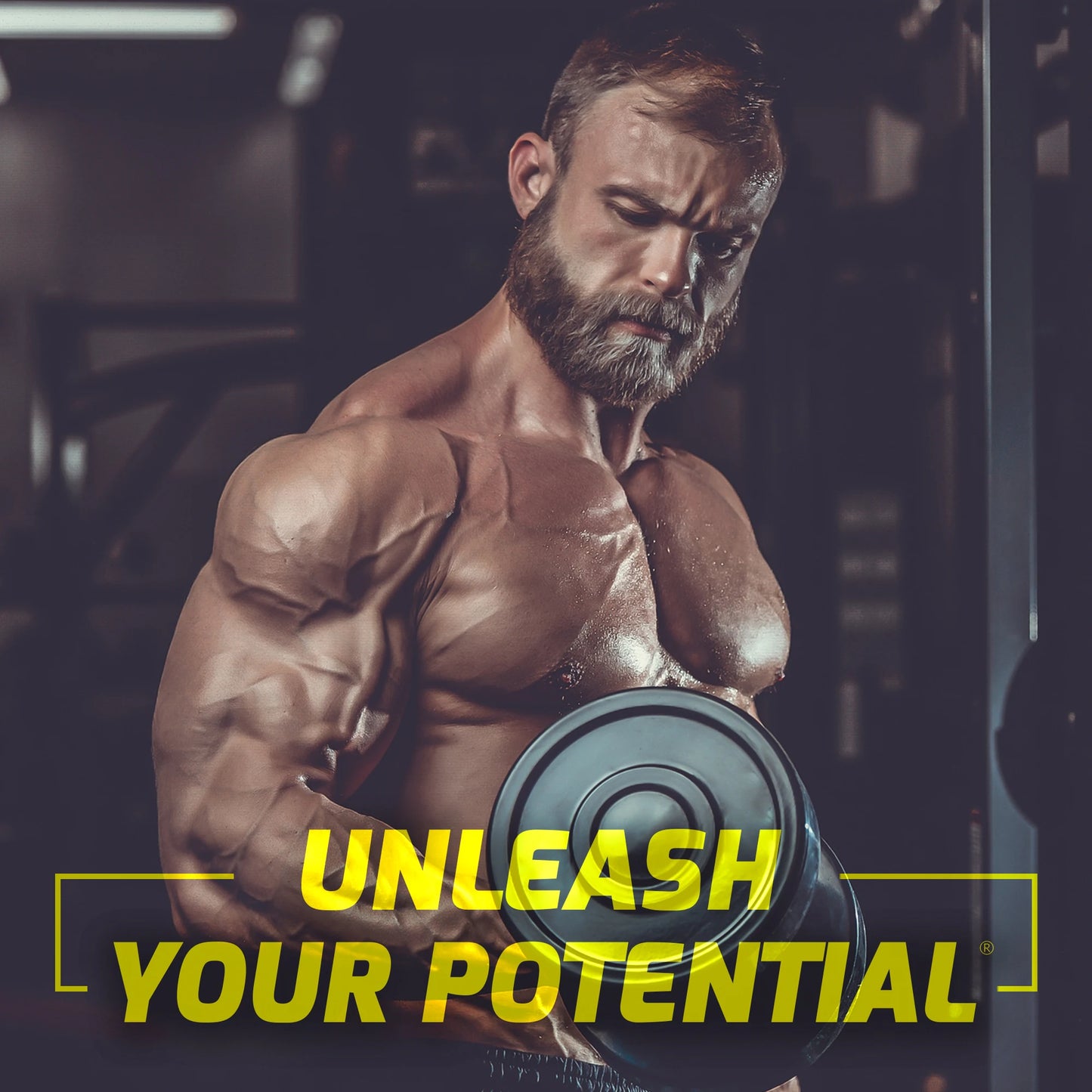 B Vitamin Supplement, Maca Extract, Strong Oxidant, Enhances Strength, Energy, Vitality, Relieves Fatigue, 60 Capsules